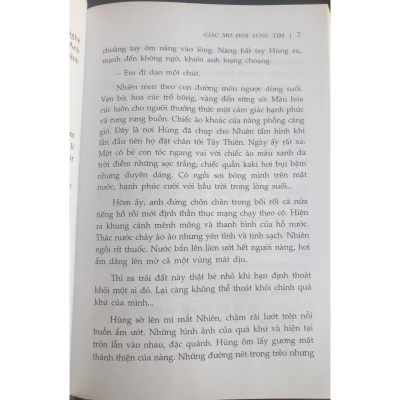 Giấc Mơ Hoa Súng Tím 736830