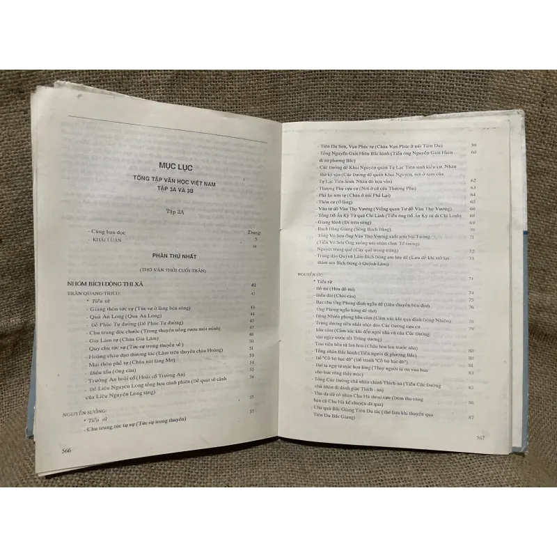 Tồng tập văn học Việt Nam tập- văn học trung đại thời Trần, Hồ  968628