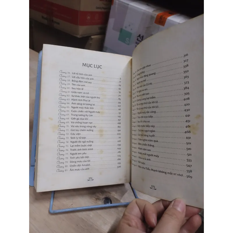 Sách: Mèo Hoang - TG: Đinh Mặc (Bộ 2 tập) - (B2) 936360