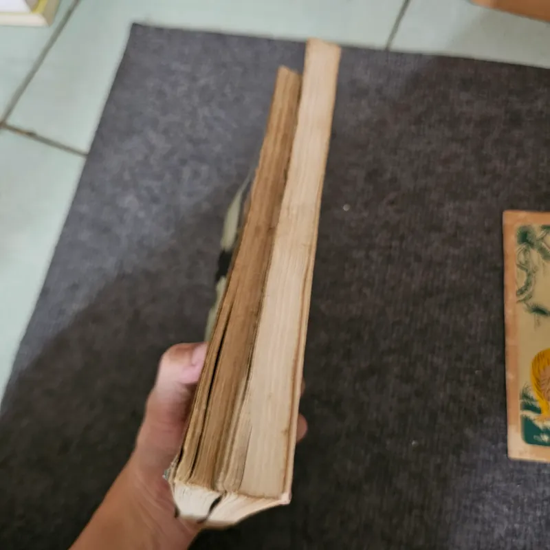 Freud đã thực sự nói gì - Jung đã thực sự nói gì - Phân tâm học 745015