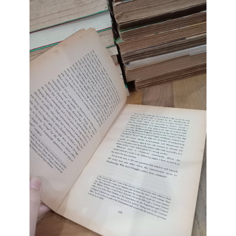 Fantastic beasts & where to find them - Newt Scamander 788241