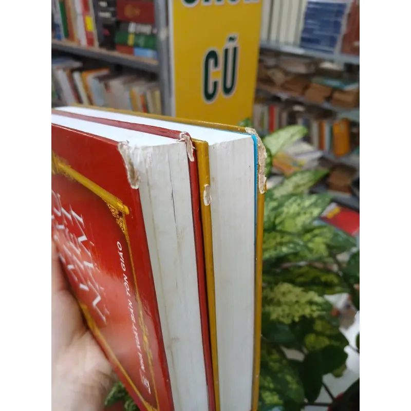 ĐẠO MẪU VIỆT NAM (TRỌN BỘ 2 TẬP BÌA CỨNG) - NGÔ ĐỨC THỊNH 976807