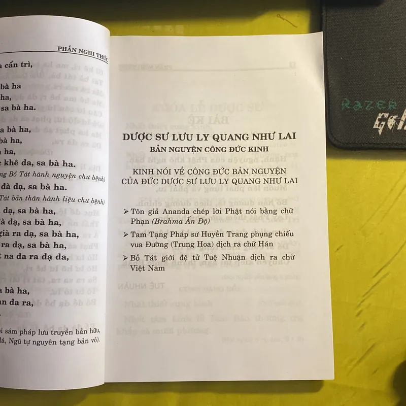 Kinh Dược Sư- Dịch Giả: Bồ Tát Giới Tuệ Nhuận 688421