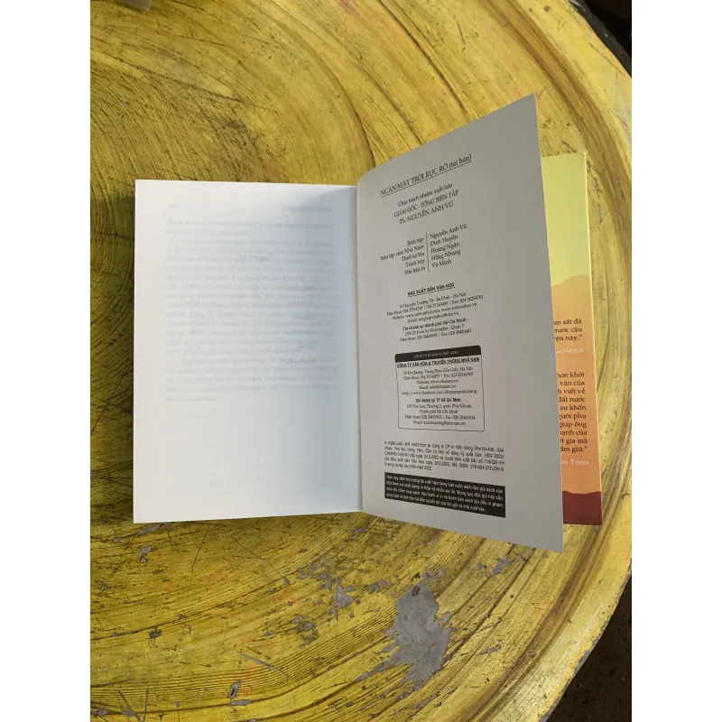 COMBO NGƯỜI ĐUA DIỀU & NGÀN MẶT TRỜI RỰC RỠ 745813