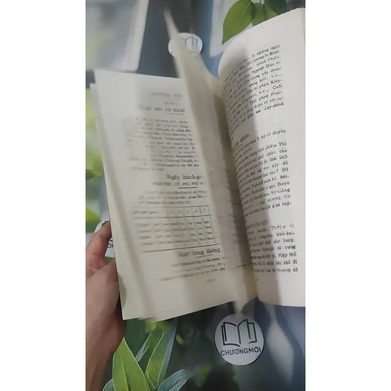 Kim Oanh Ký - Bát Tự Lữ Tài - Thái Kim Oanh 1018904