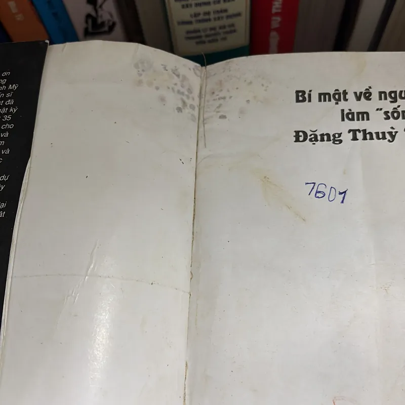 II Bí Mật Cuộc Đời Người Mỹ Làm “Sống Lại” Đặng Thuỳ Trâm - FREDERIC WHITEHURST - 2005 675182