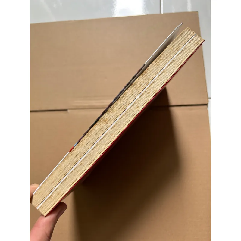 Nền tảng chung - Justin Trudeau 746016