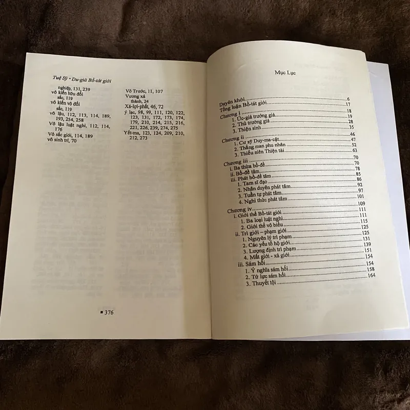 Du già bồ tát giới, Tuệ Sỹ 601328