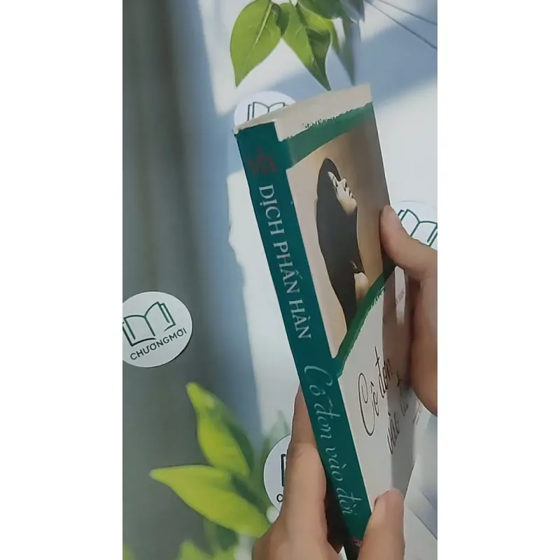 Cô đơn vào đời - Dịch Phấn Hàn 694970