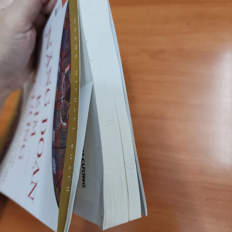 Sách Năng đoạn kim cương của Geshe Michael Roach mới 95% 531951