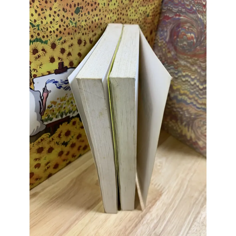 Kế Sách Thông Minh - Những Điều Bạn Chưa Nghĩ Ra - Trọn Bộ 2 Tập 925728