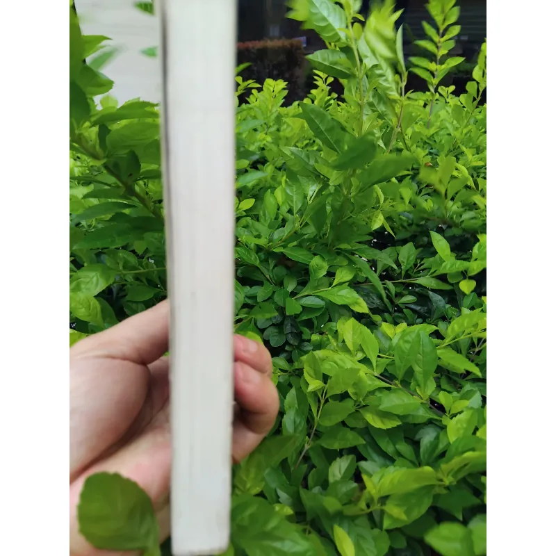 Giới thiệu một số loài thú của Đông Dương và Thái Lan 975216