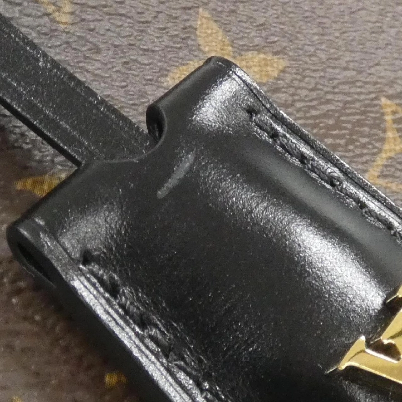 Túi xách Louis Vuitton Monogram Vanity PM M45165 - Hàng hiệu Chính hãng 764769