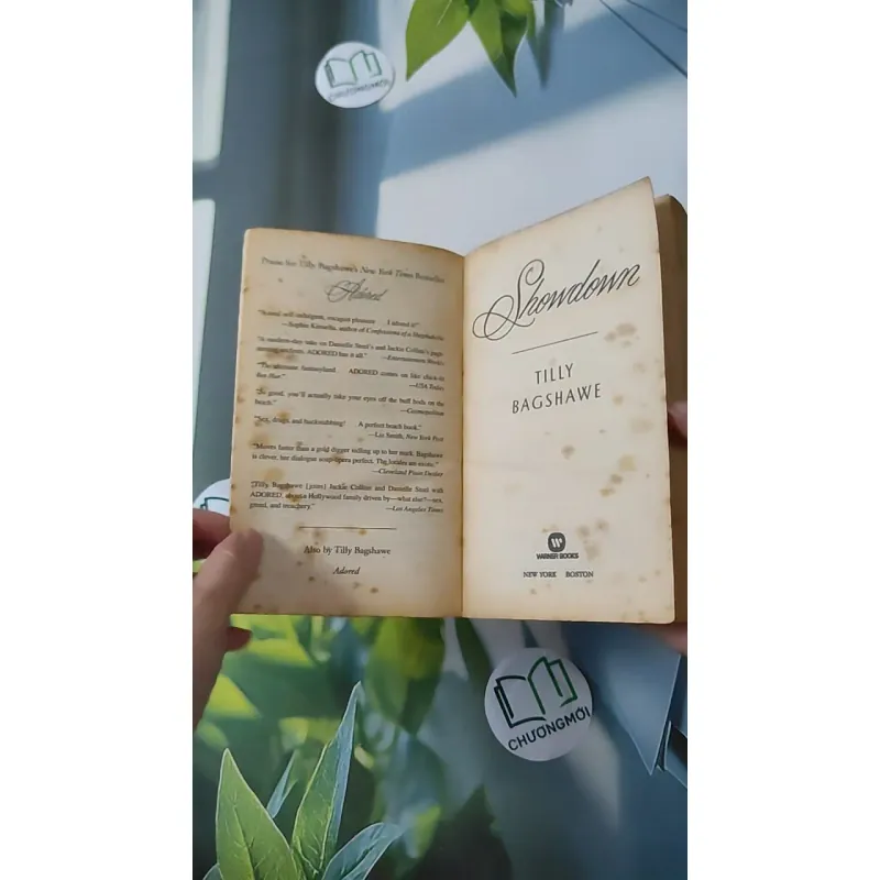 Showdown - Tilly Bagshawe 1027176