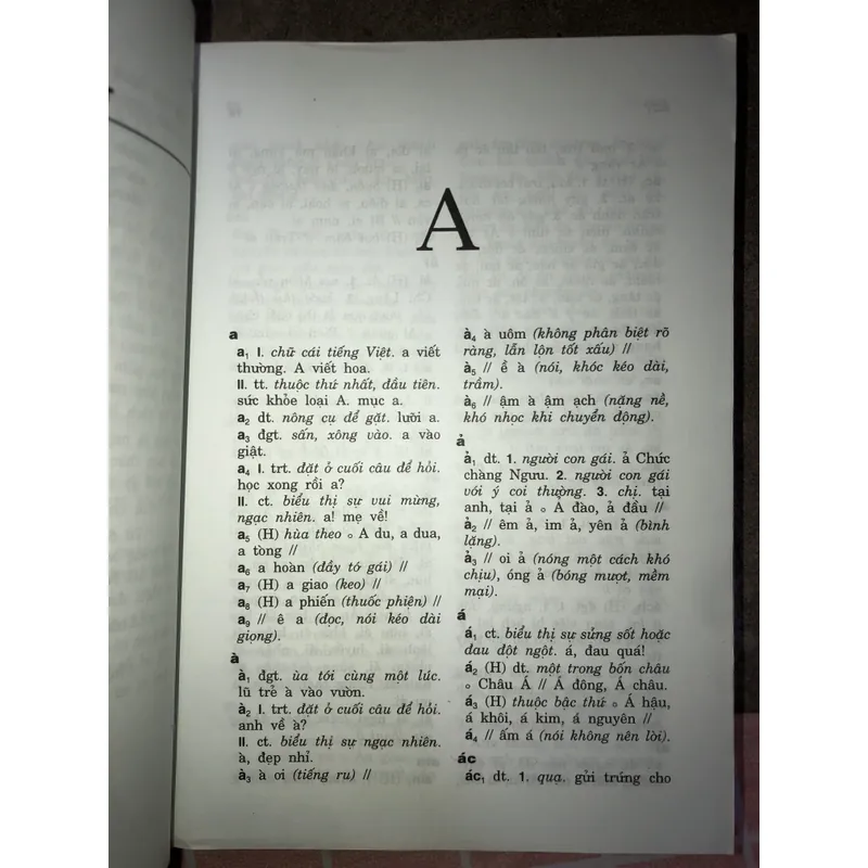 Từ điển đồng âm tiếng Việt  731490