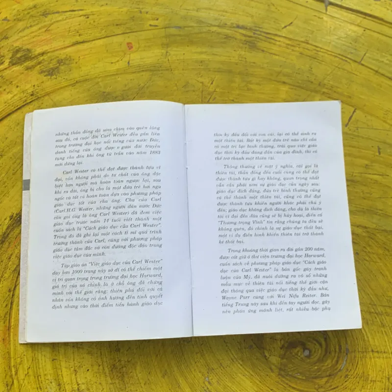 CÁCH GIÁO DỤC CỦA CARL WESTER - CARL WESTER 790335