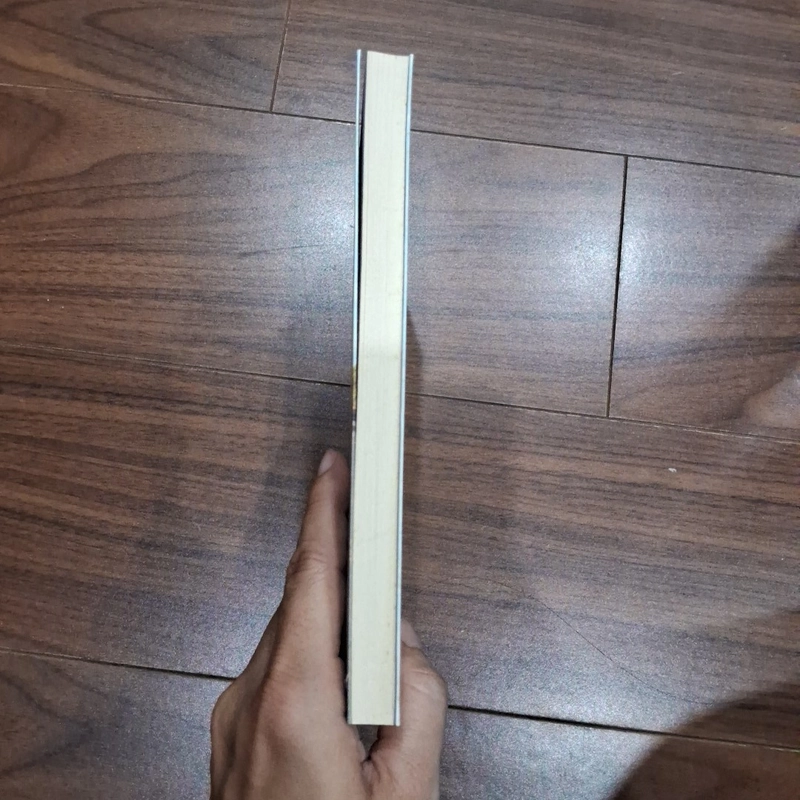 Bỉ vỏ - nguyên hồng 516468
