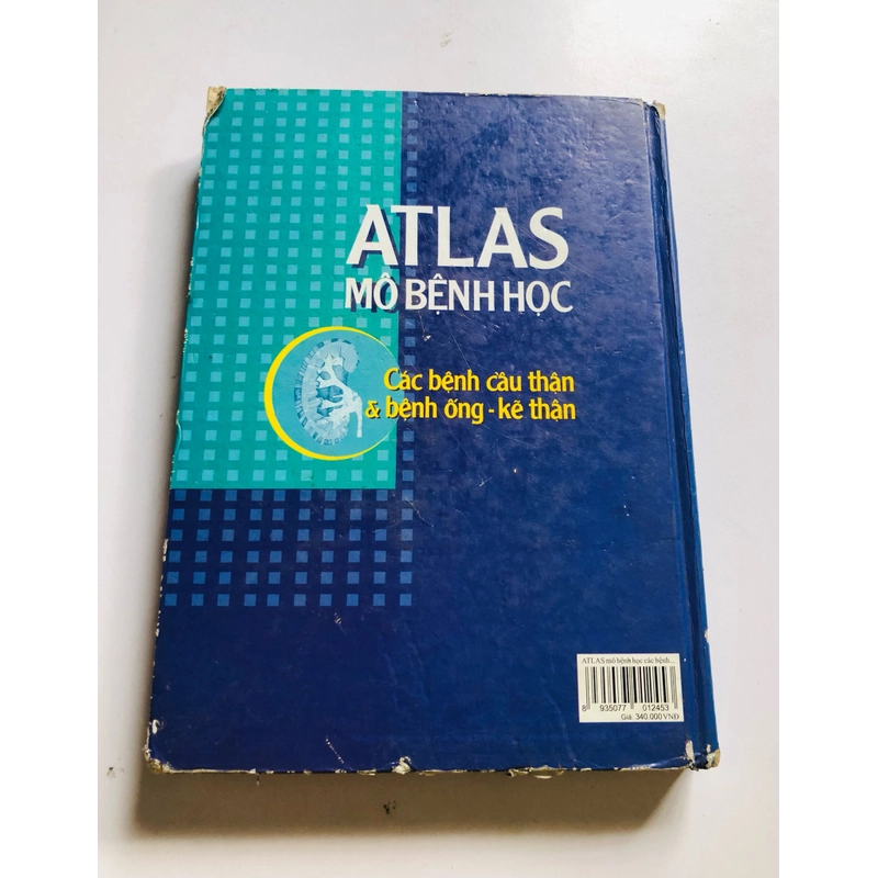 ATLAS MÔ BỆNH HỌC CÁCH BỆNH CẦU THẬN & BỆNH ỐNG - KẼ THẬN 524844