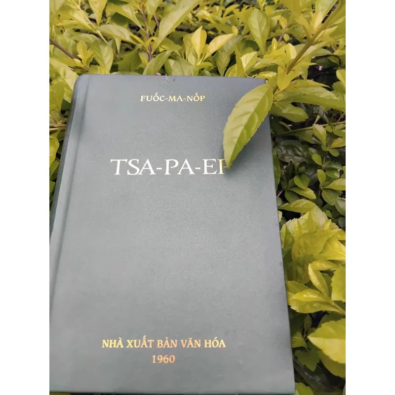 Tsapaep của Fuốc ma nốp 936559