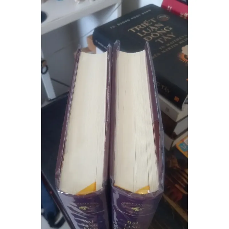 Nikaya - Kinh Trung Bộ (2 quyển) 553028