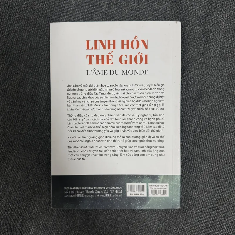 Linh hồn thế giới - Frederic Lenoir 1000940