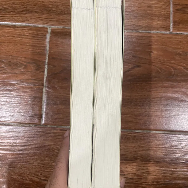 Anna Karenina - Lev Tolstoy bộ 2 tập (c) 713189