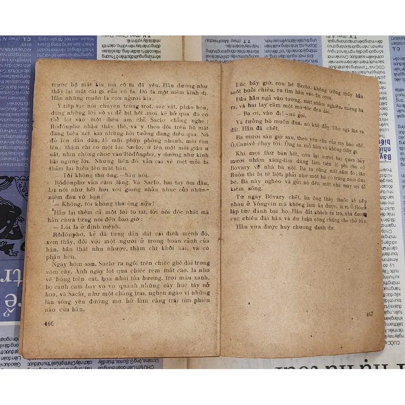 VH cổ điển Pháp: BÀ BOVARY 727146