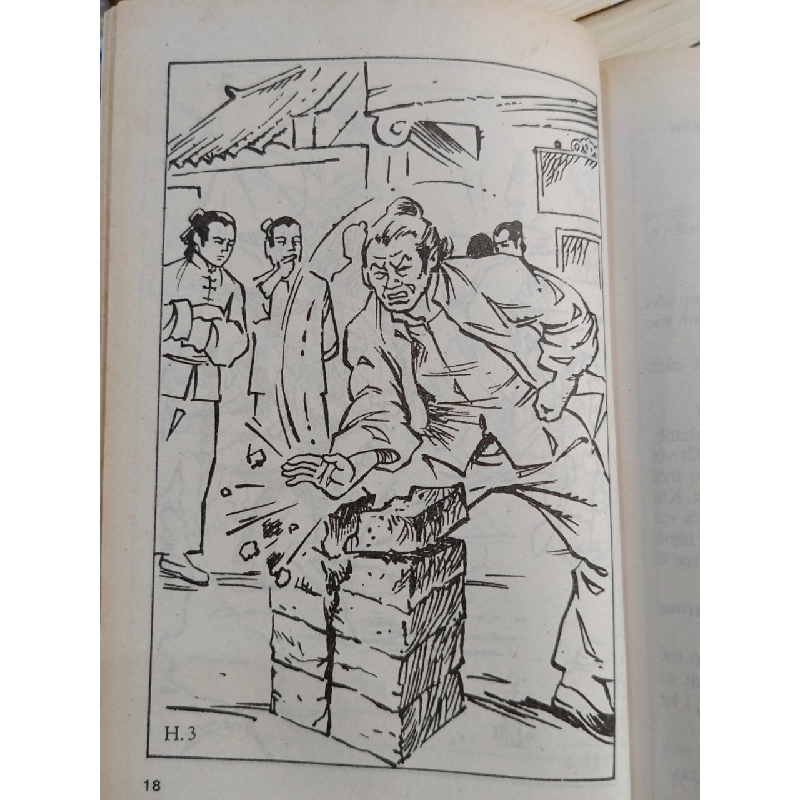 Tự luyện công phá Thiếu Lâm Tự - Võ sư Từ Thiện, Hồ Tường 1020616