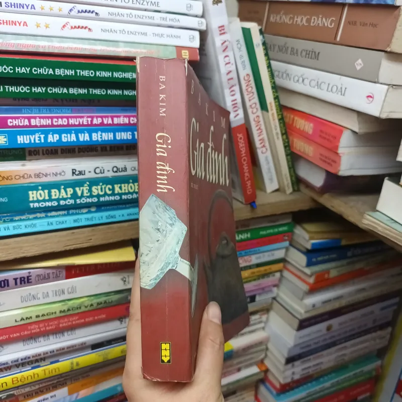 Gia Đình- Ba Kim 789741