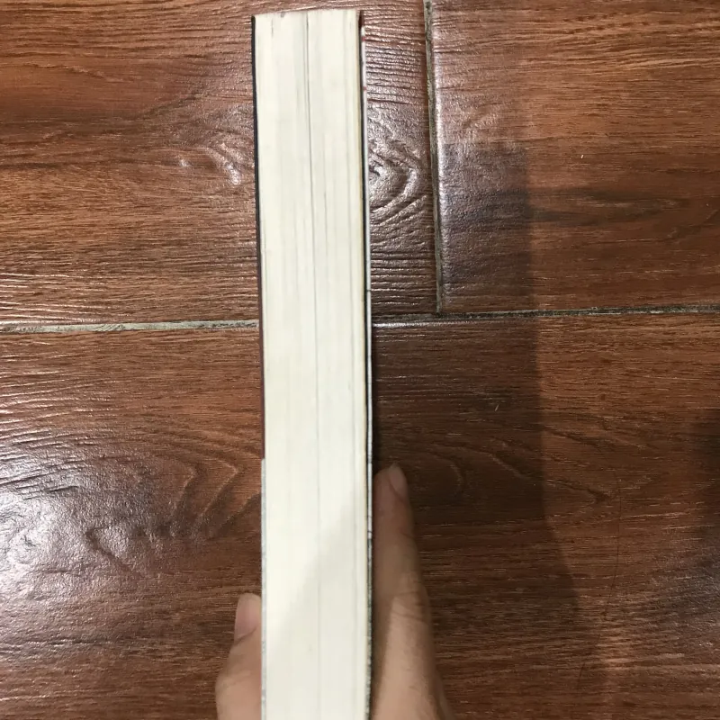 Gone Girl Cô Gái Mất Tích - Gillian Flynn (7) 927919