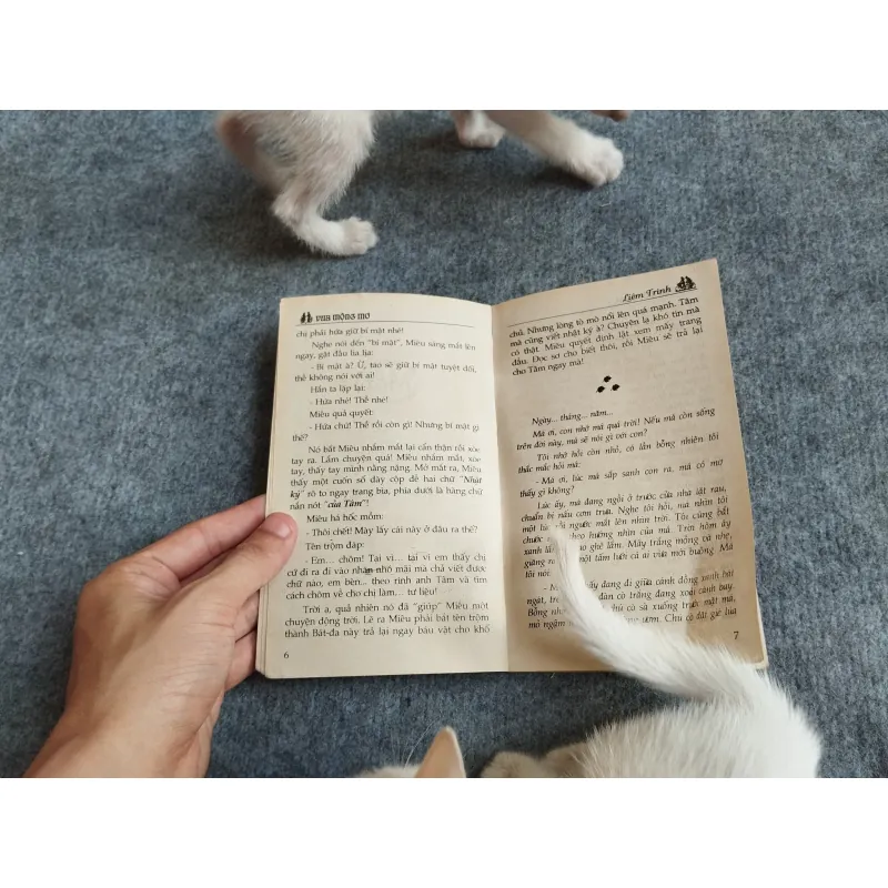 VUA MỘNG MƠ - LIÊM TRINH 567785