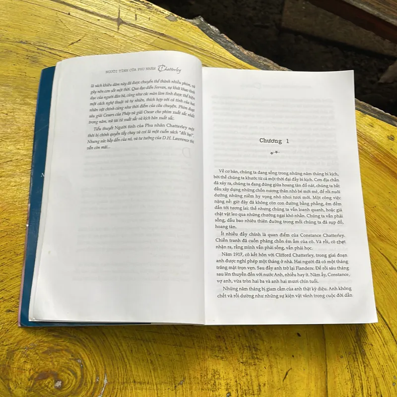 NGƯỜI TÌNH CỦA PHU NHÂN CHATTERLEY- D.H LAWRENCE 567633