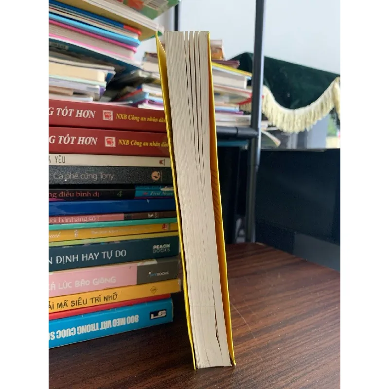 Phương pháp dạy con không đòn roi – Daniel J. Siegel & Tina Payne Bryson 572284