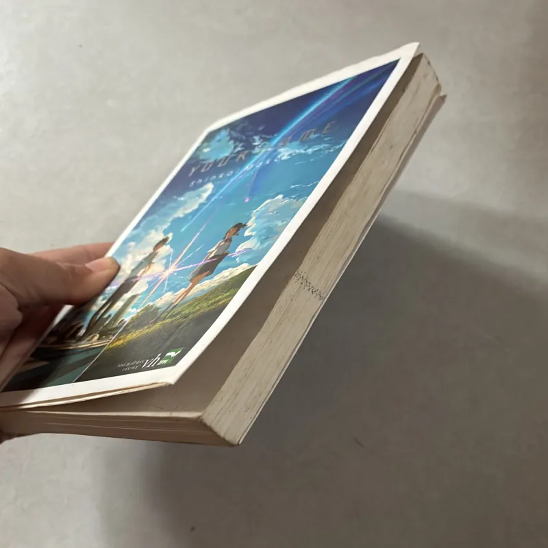 Your name - Shinkai Makoto 748125