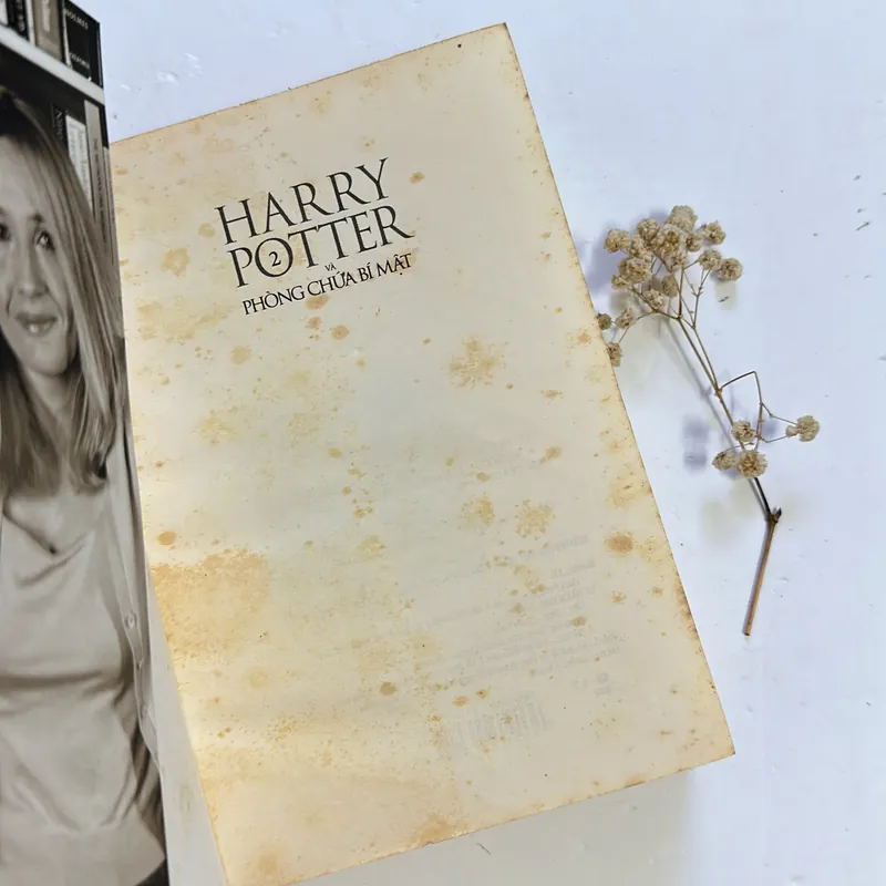 Harry Potter và Phòng chứa bí mật (Tập 2) 597162