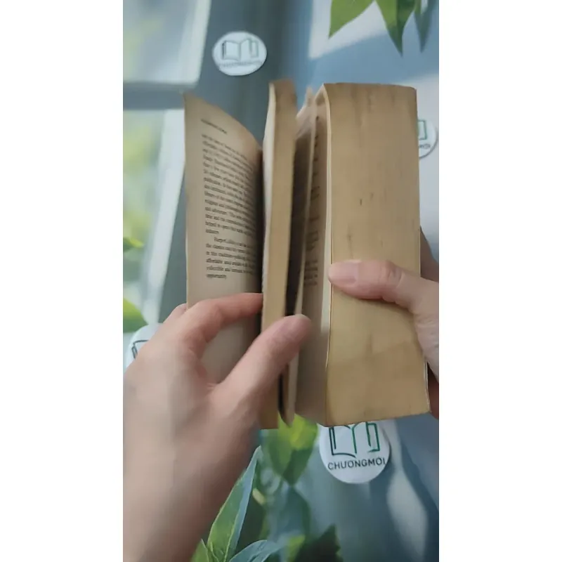 [MIỄN PHÍ BỌC SÁCH] The Three Musketeers - Alexandre Dumas 1027493