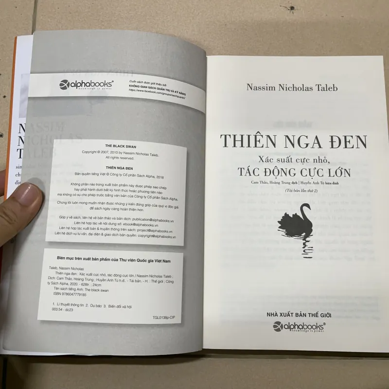 Thiên nga đen (c) 1022101