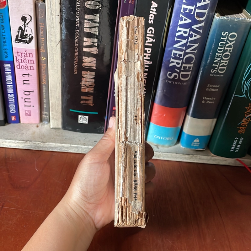 II Văn Học Việt Nam: Nửa Chừng Xuân - Khái Hưng - 1989 543962