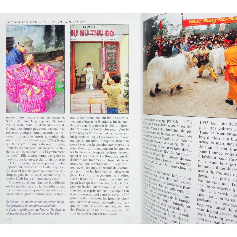 Việt Nam - Guide Nelles 565218