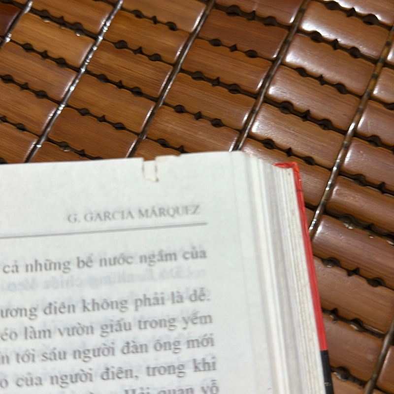Tình yêu thời thổ tả - Gabriel Garcia Marquez 537240