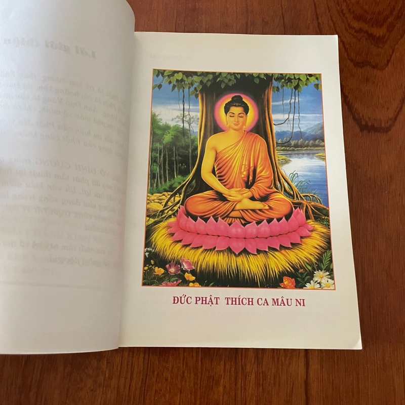II Tựa sách: Ảnh Đạo Vàng - Võ Đình Cường - 2008 431301