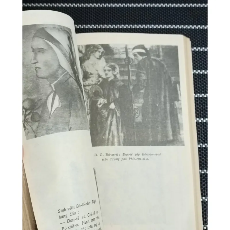 Đan-tê (Cu-Tô-Dôp) 777783