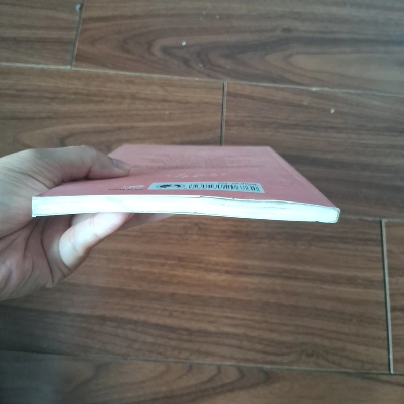 Yêu là cưới 508420