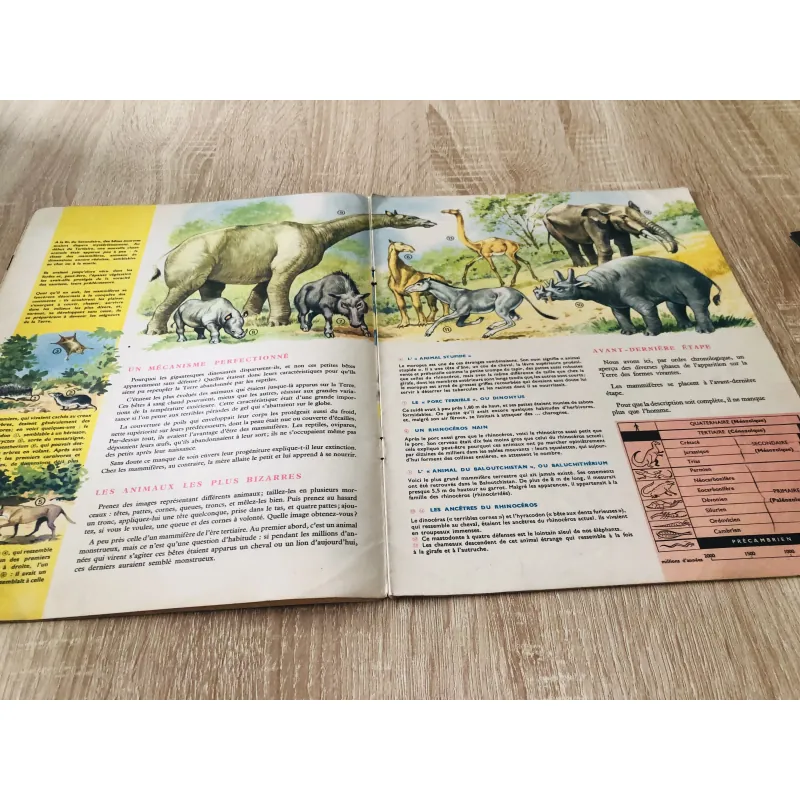 TẠP CHÍ TOUT L’UNIVERS – 1962 (7) 1016671