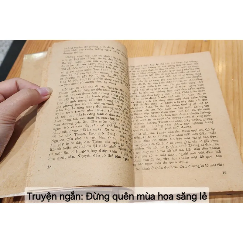 Truyện ngắn: ĐỪNG QUÊN MÙA HOA SĂNG LẺ 706294