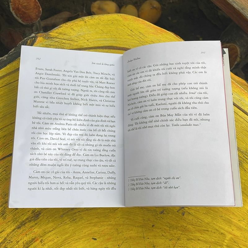 Đôi cánh bị lãng quên 470997