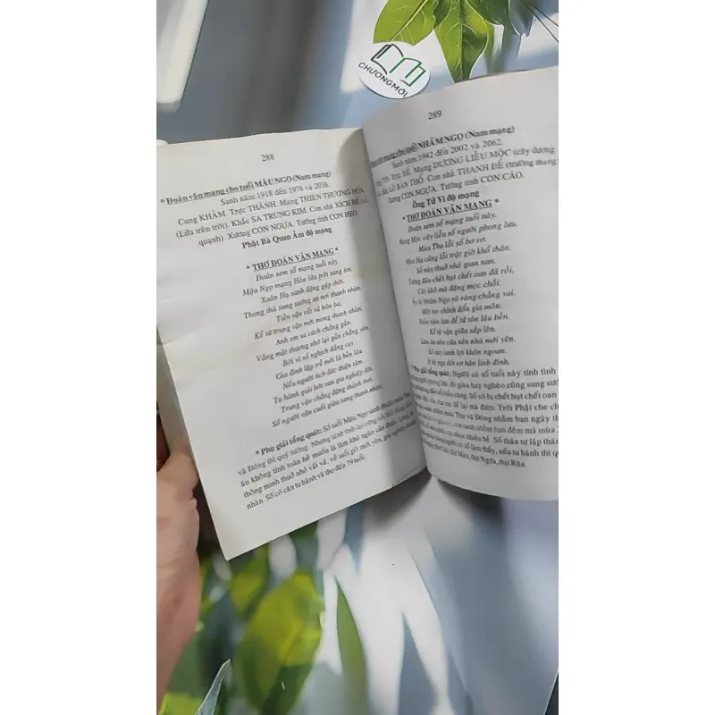 Tử Vi Tướng Pháp 776182