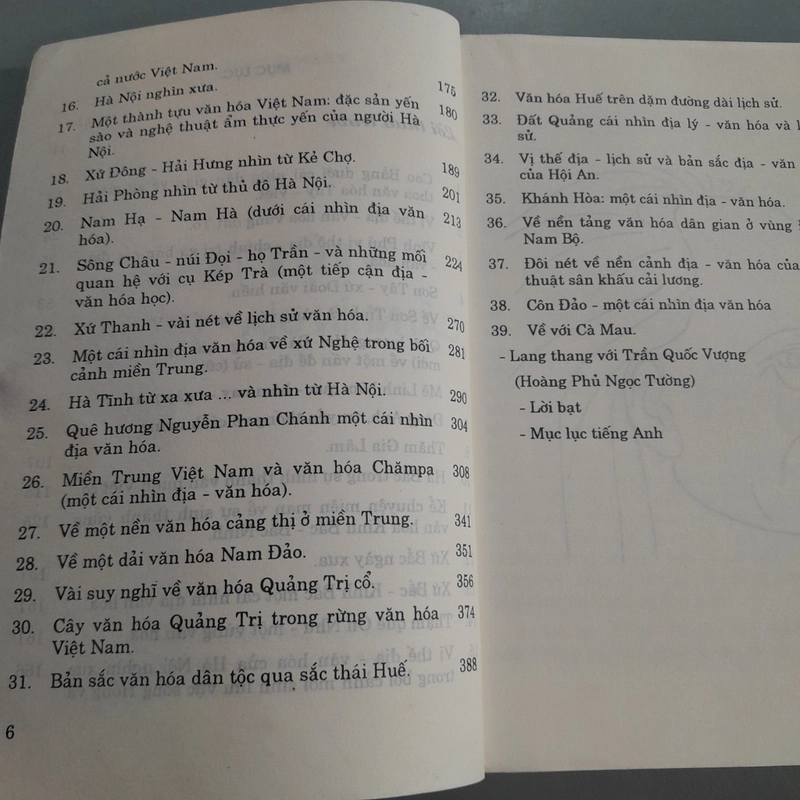 VIỆT NAM CÁI NHÌN ĐỊA - VĂN HÓA _ TRẦN QUỐC VƯỢNG 494711