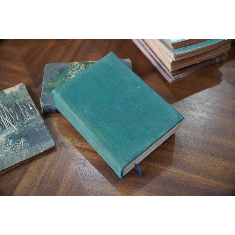 Anh em nhà Karamazov - F. M. Dostoievsky 387217