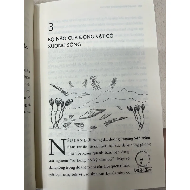 Não bộ không ngừng tiến hoá - Paul Howard-Jones 714462